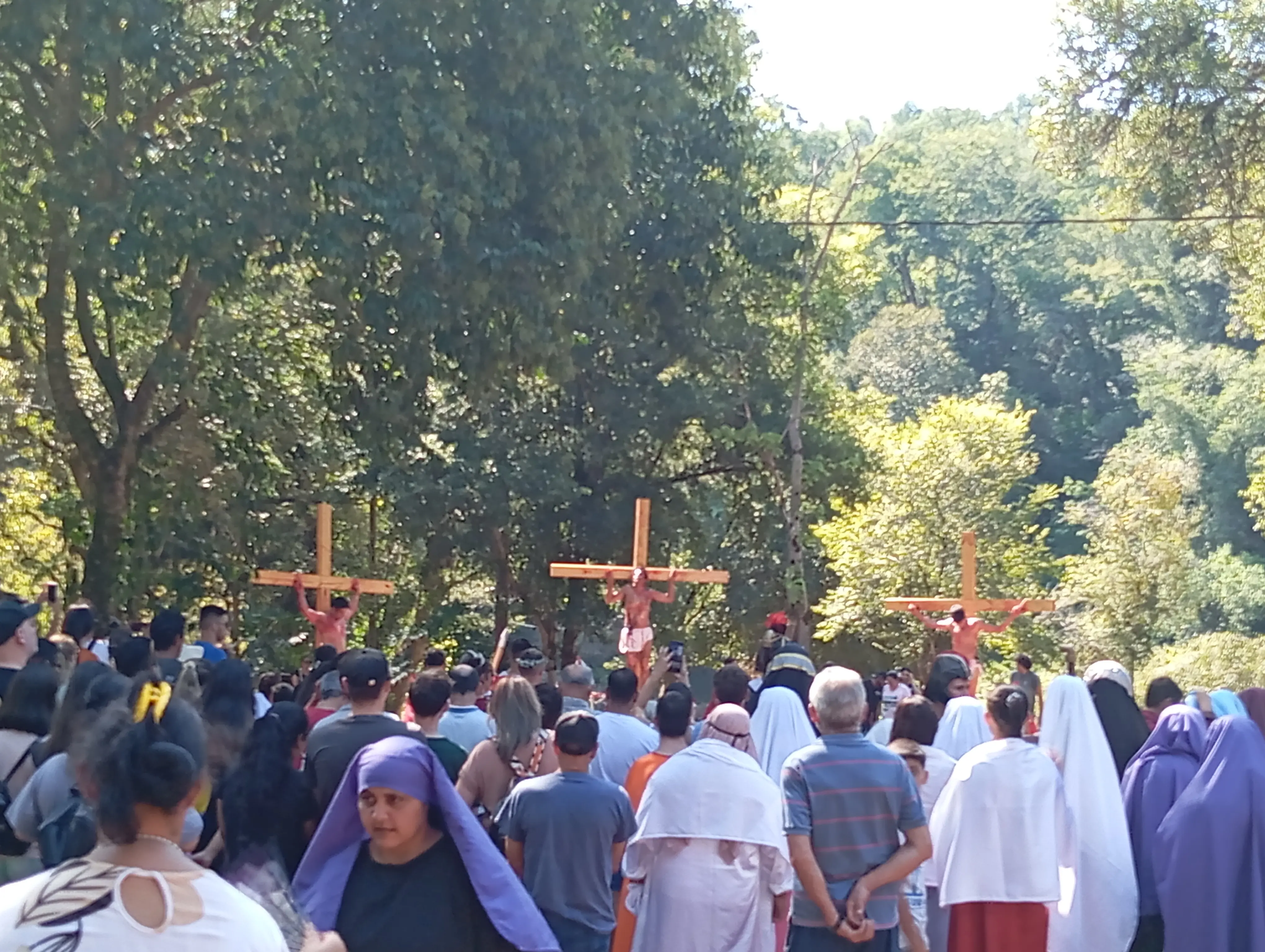 Imagen de la noticia 5