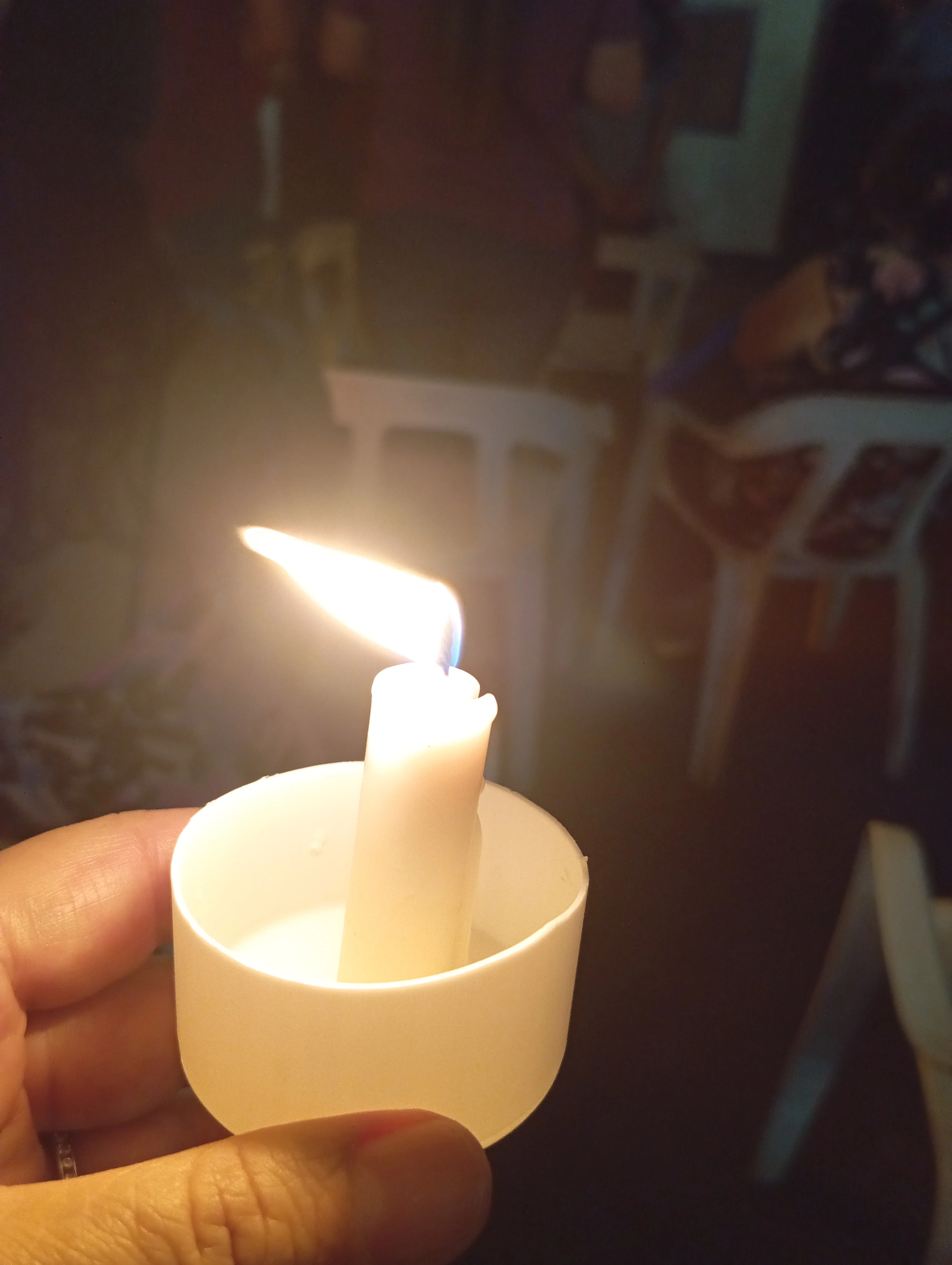 Imagen de la noticia 5