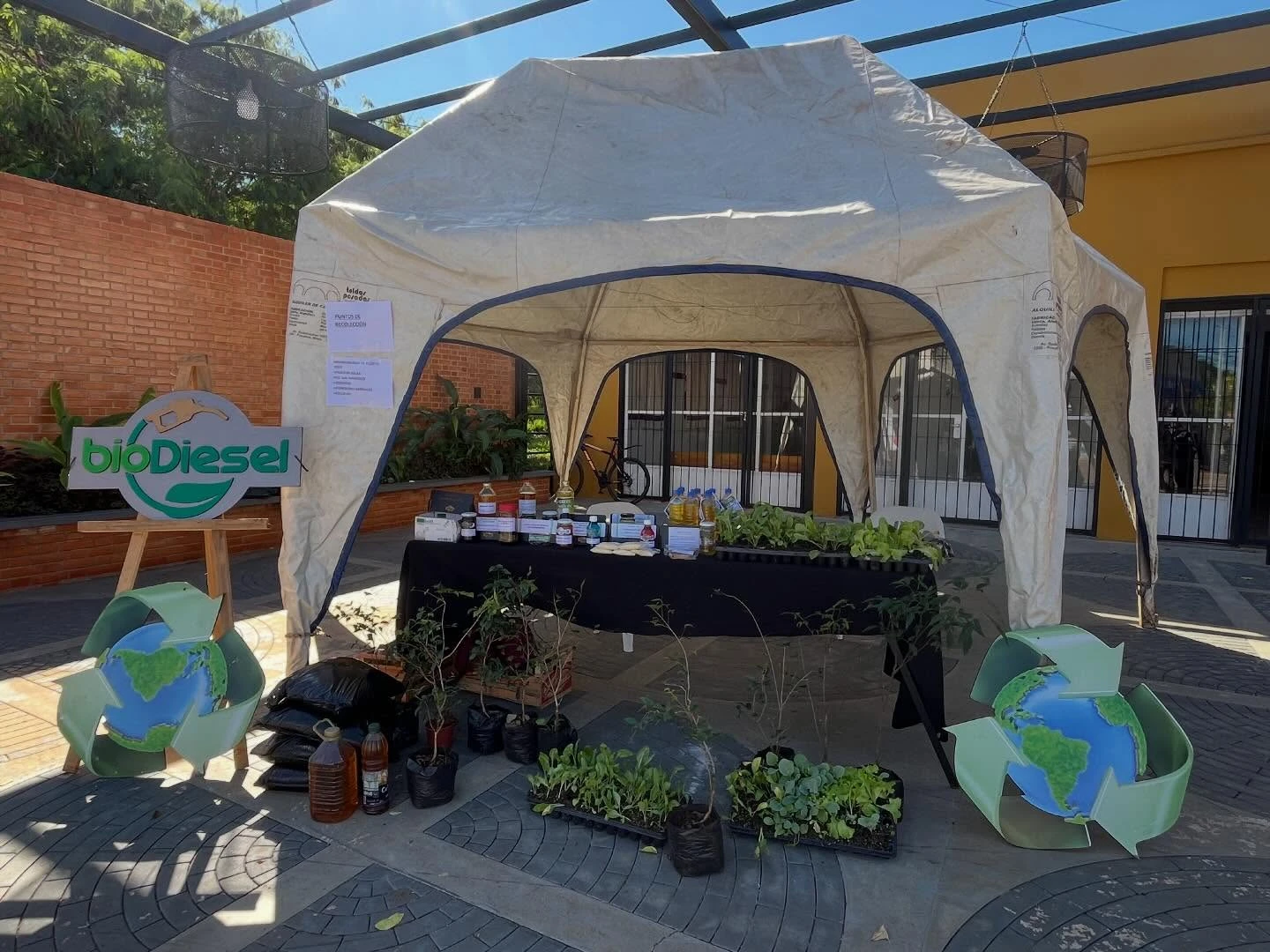 Puerto Rico Lanza Campaña de "Ecocanje": Aceite Usado por Plantines y Biodiesel