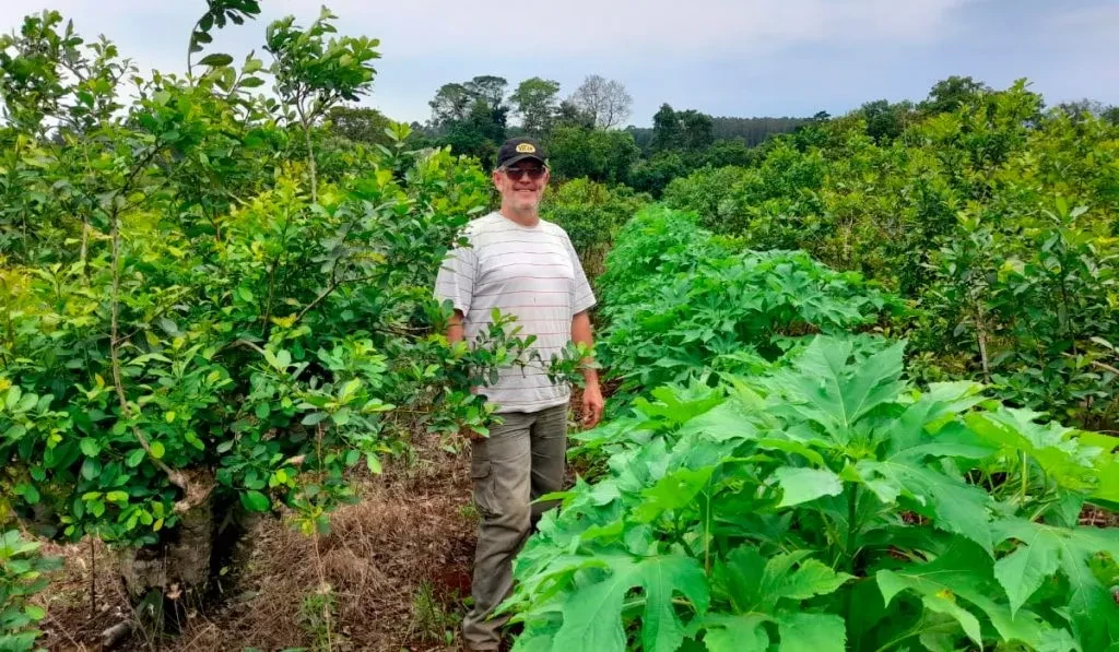 Crisis yerbatera: "Hoy resulta muy difícil levantar la cosecha", advirtió el productor Jorge Lizznienz