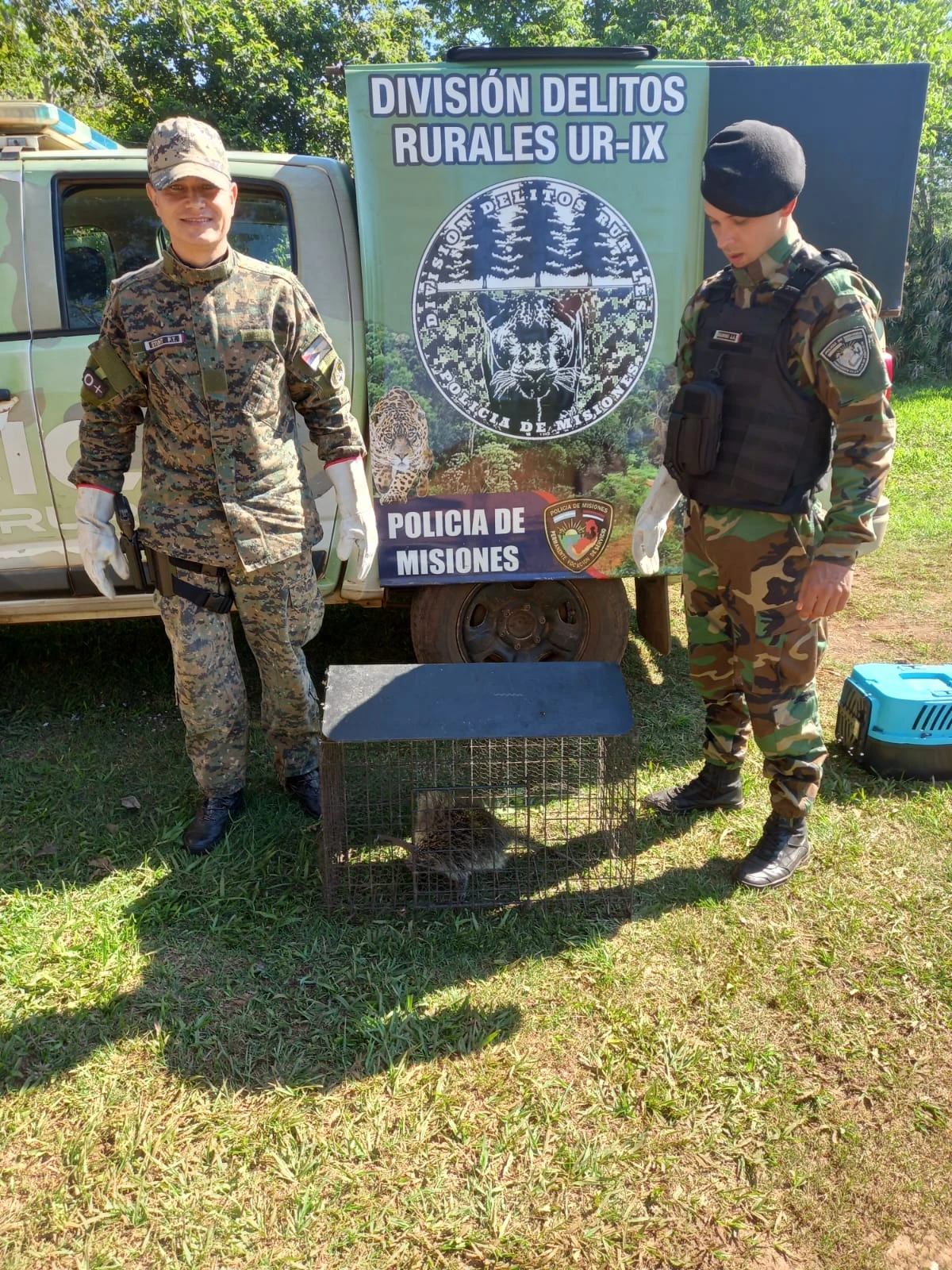 Miniatura 4