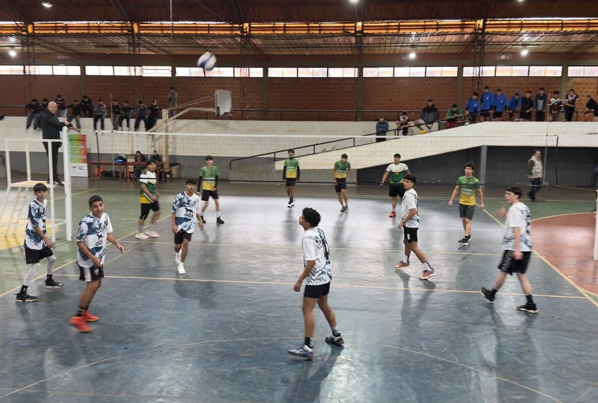 Miniatura 11