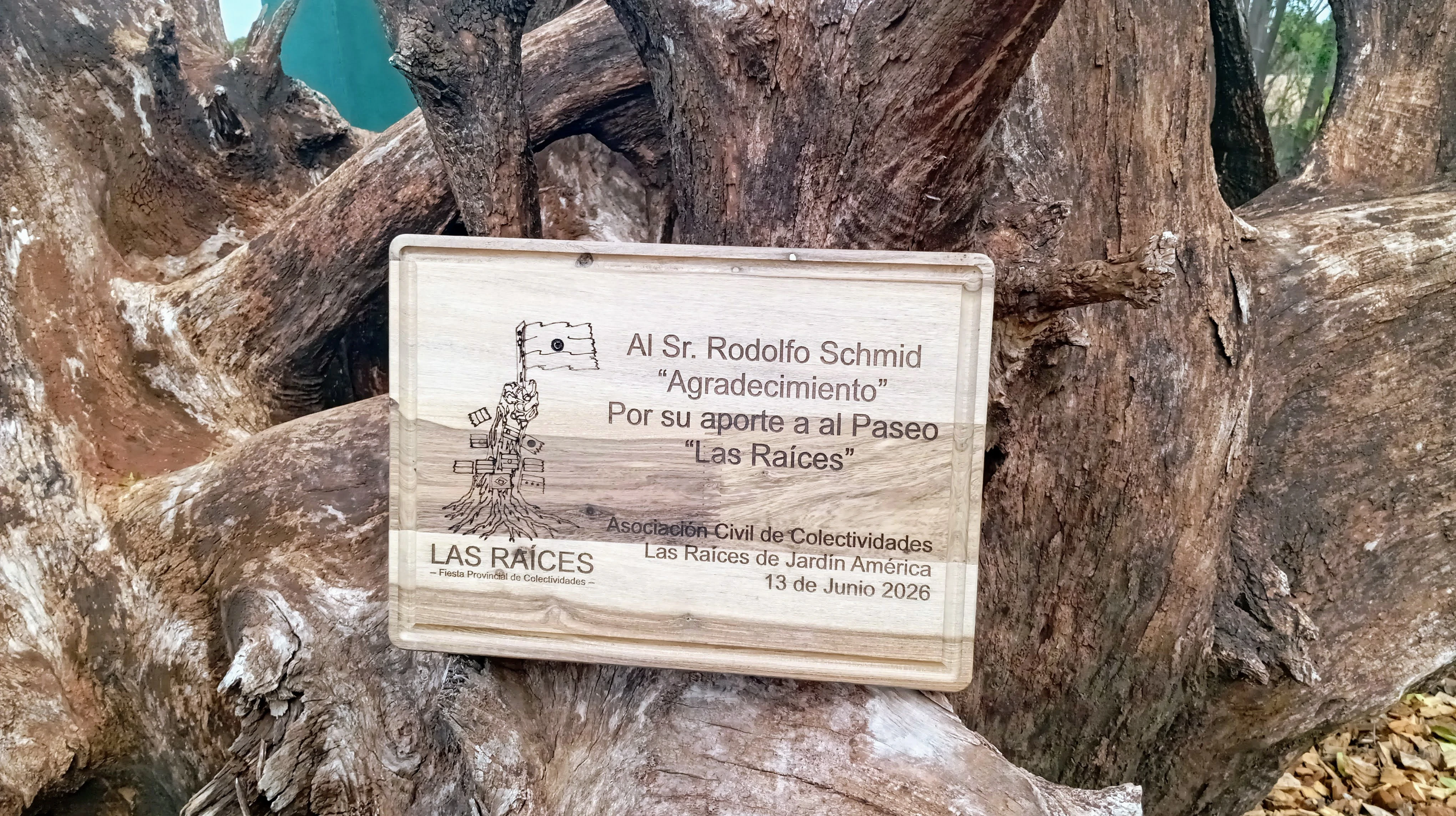 Miniatura 24