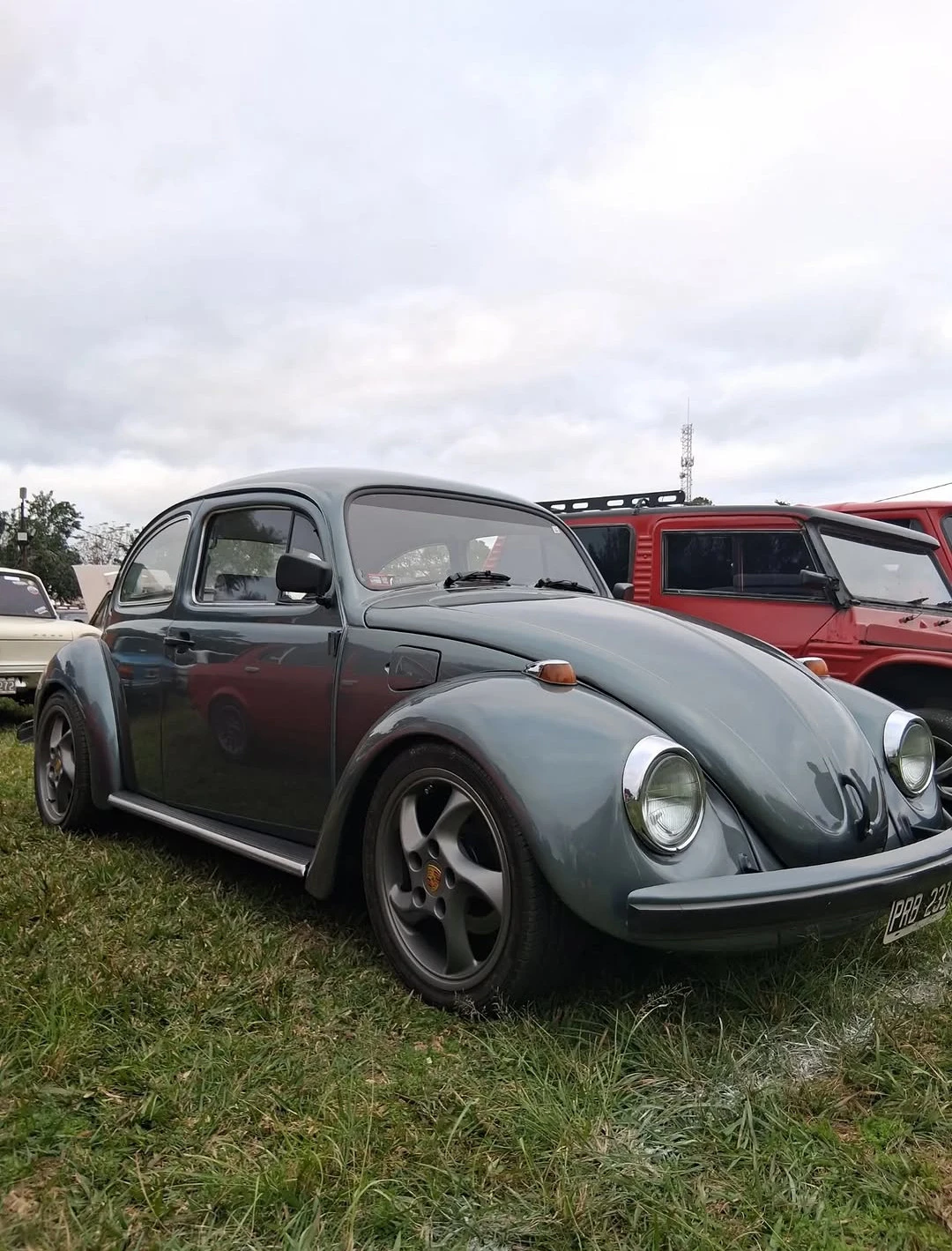 Miniatura 12