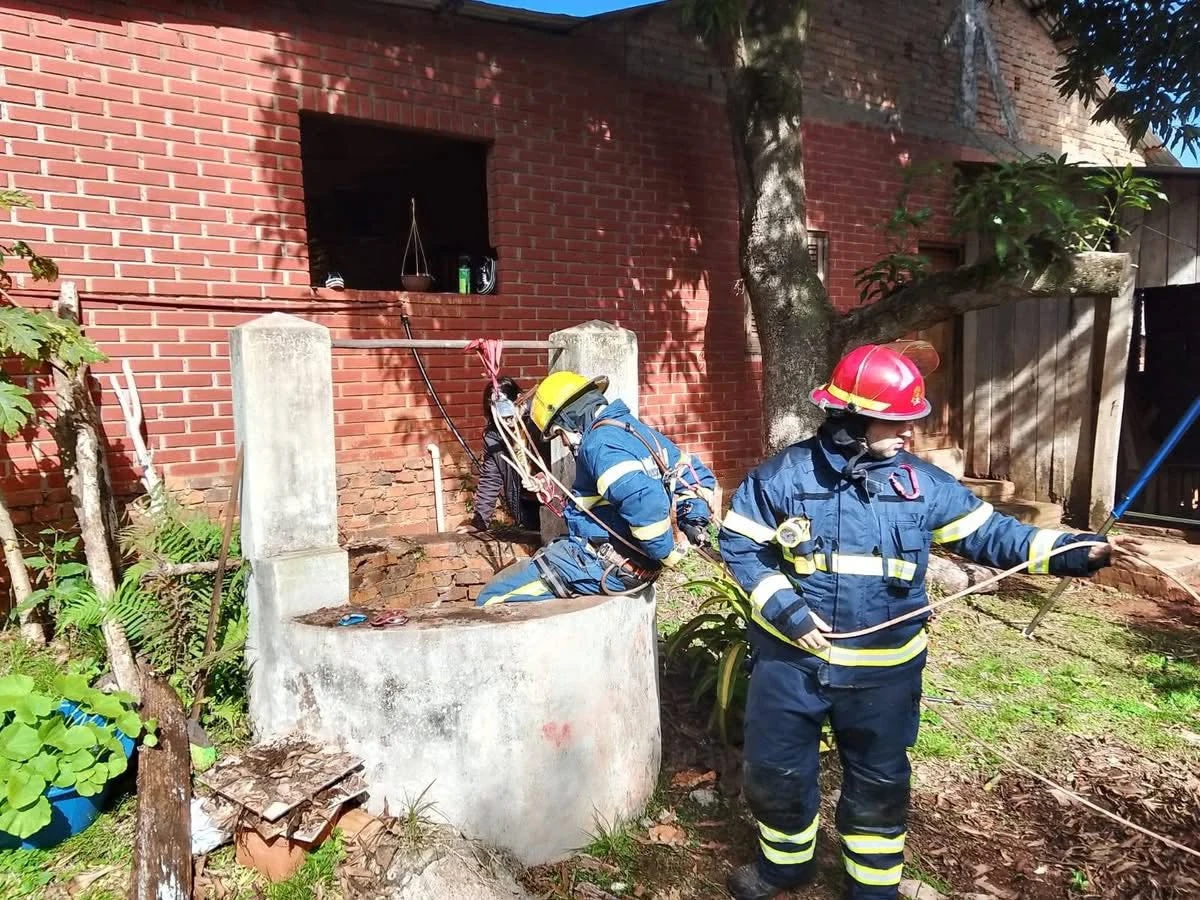 Rescate de película: Bomberos de Misiones salvan a perra atrapada en pozo de 8 metros
