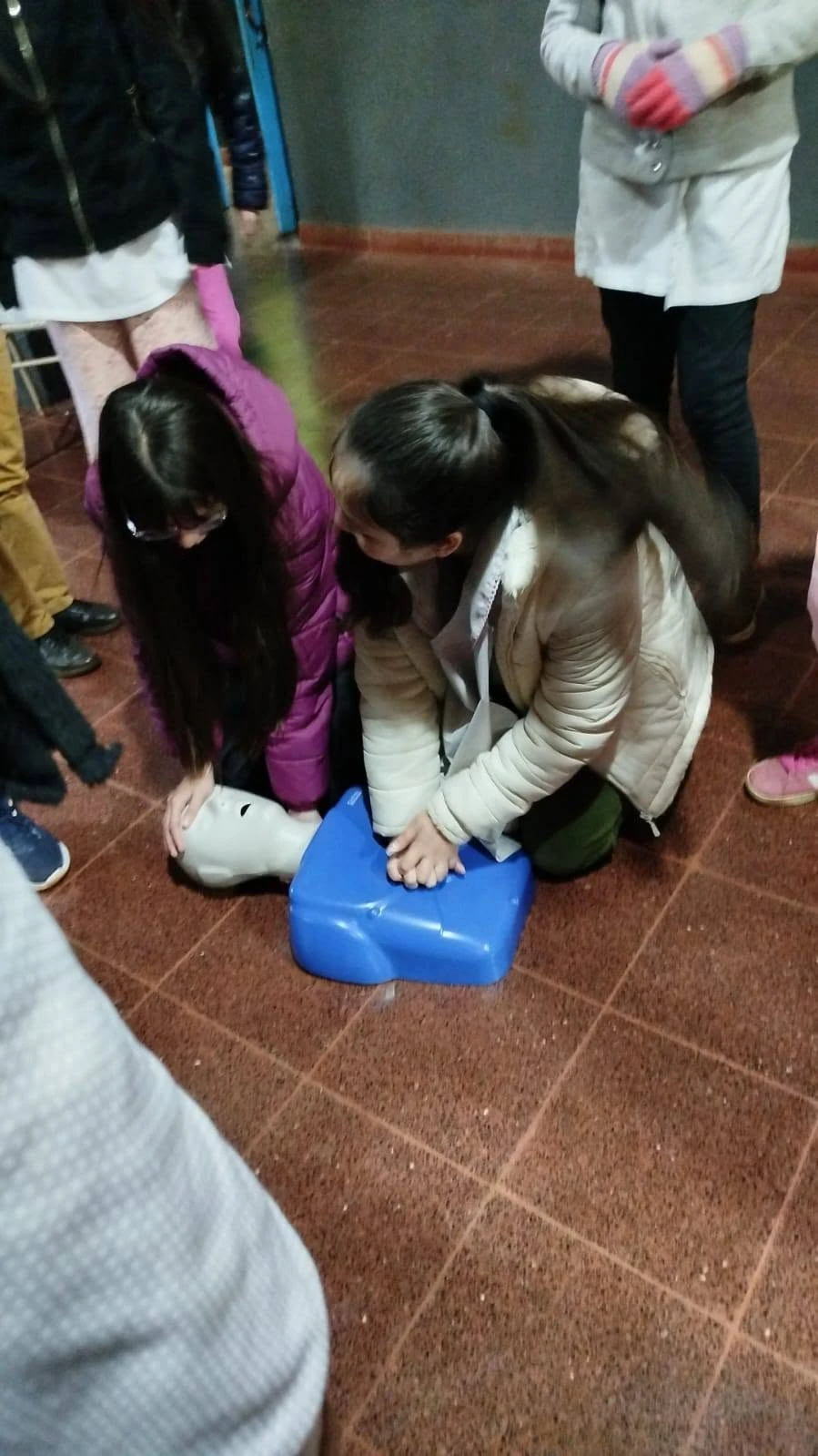 Miniatura 7