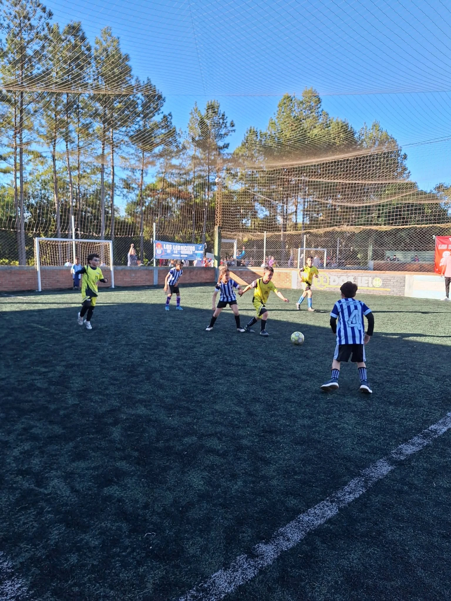 Miniatura 16