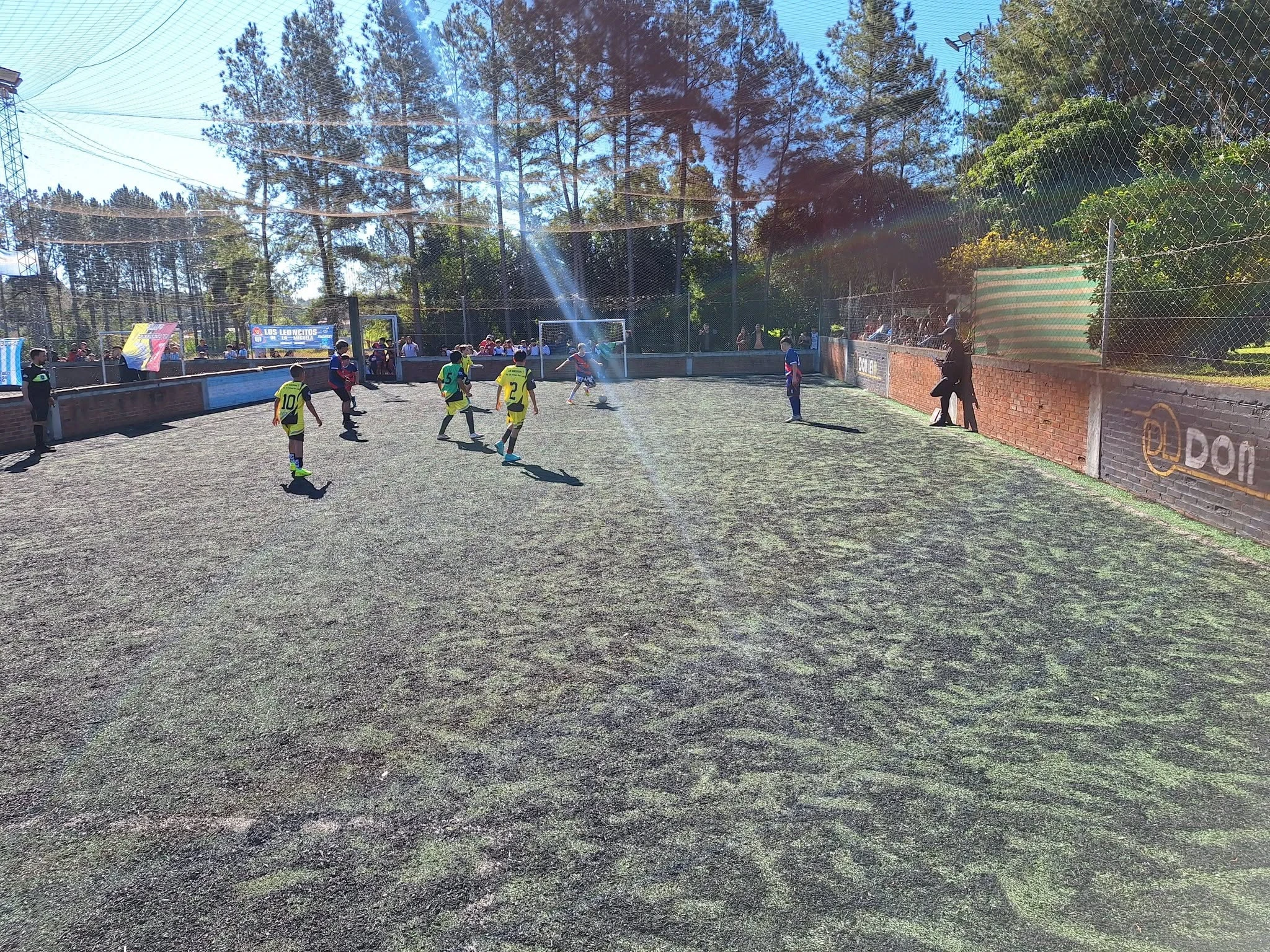 Miniatura 15