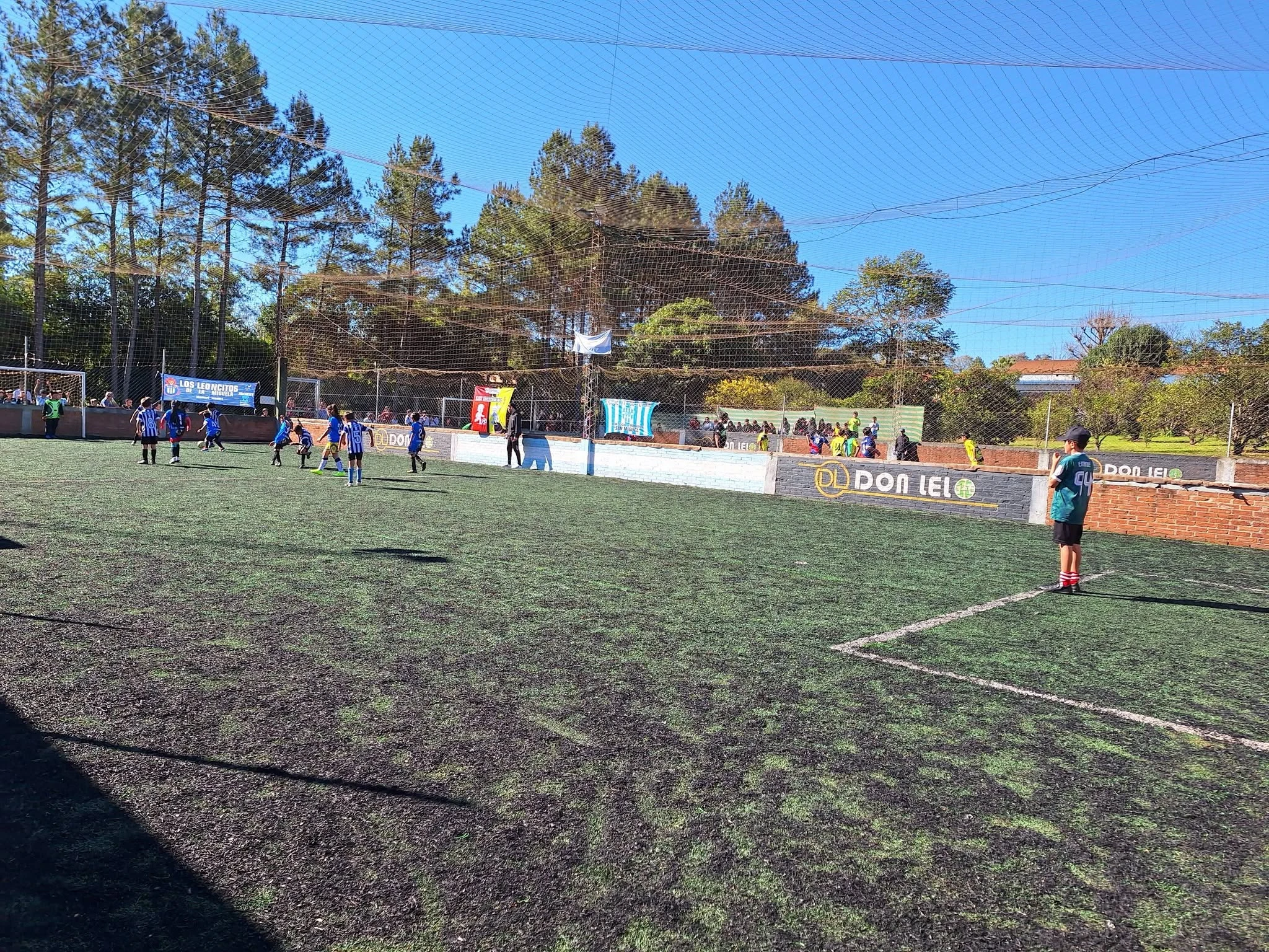 Miniatura 14