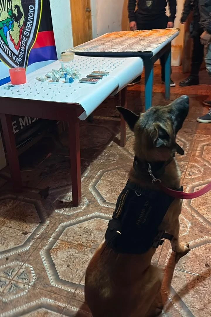 Miniatura 4