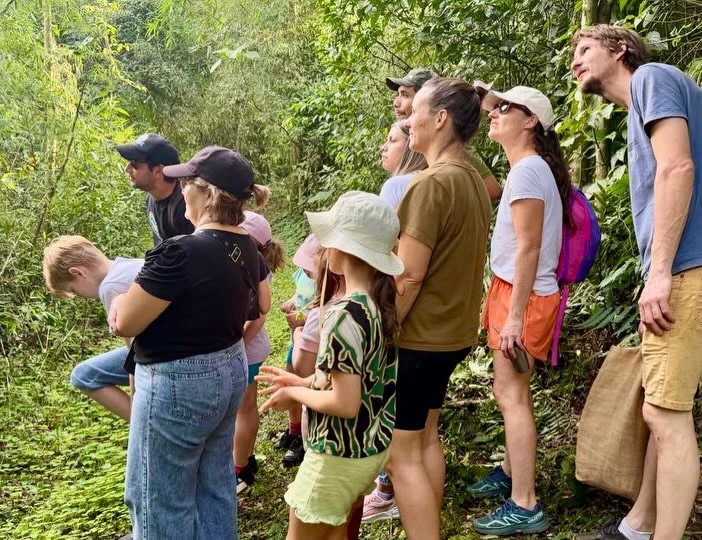 Aventura Invernal Familiar en el Monte Seguín: Puerto Rico Celebra las Vacaciones con Naturaleza y Descubrimientos