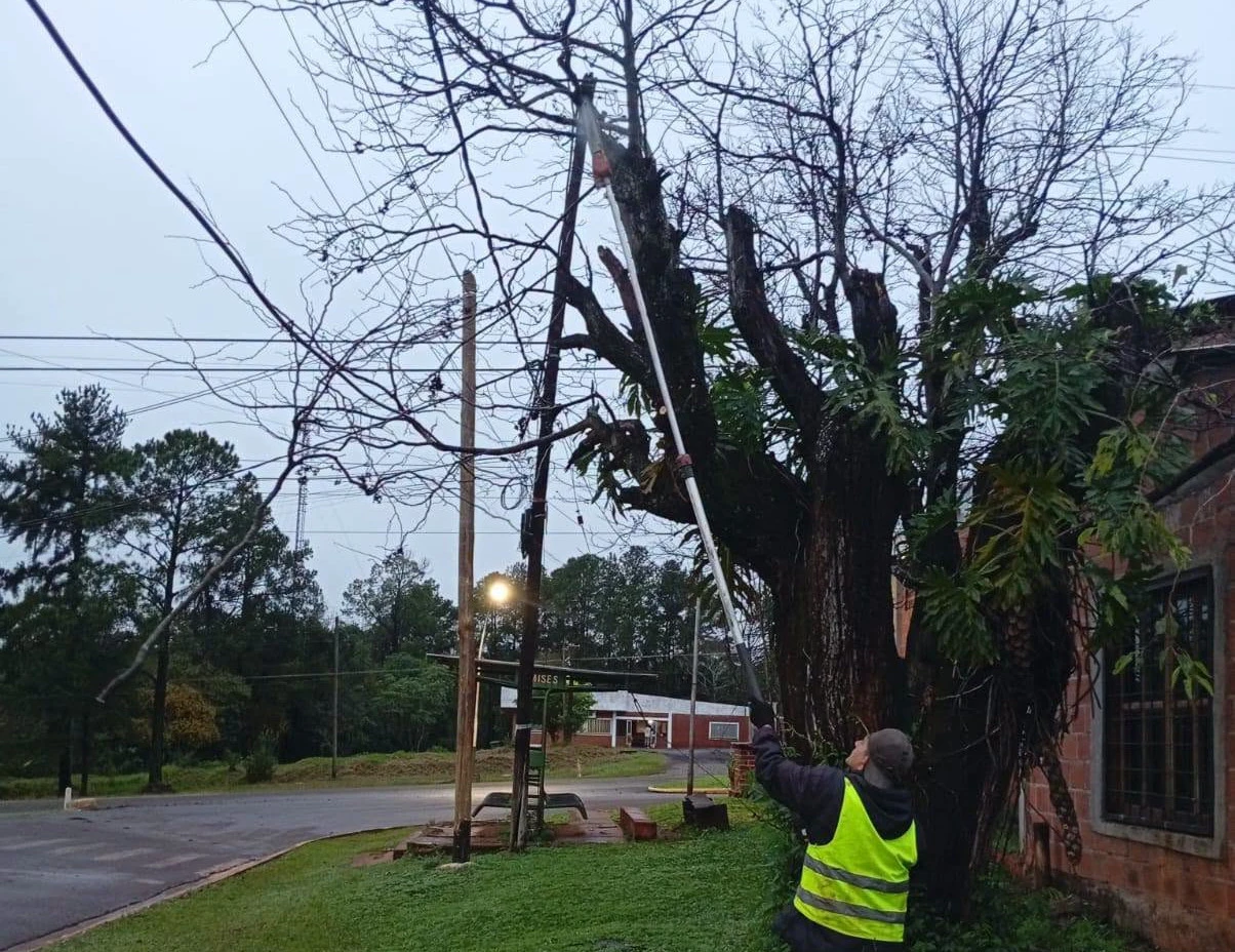 Pipó no se detiene: operativos de limpieza y seguridad contra el clima