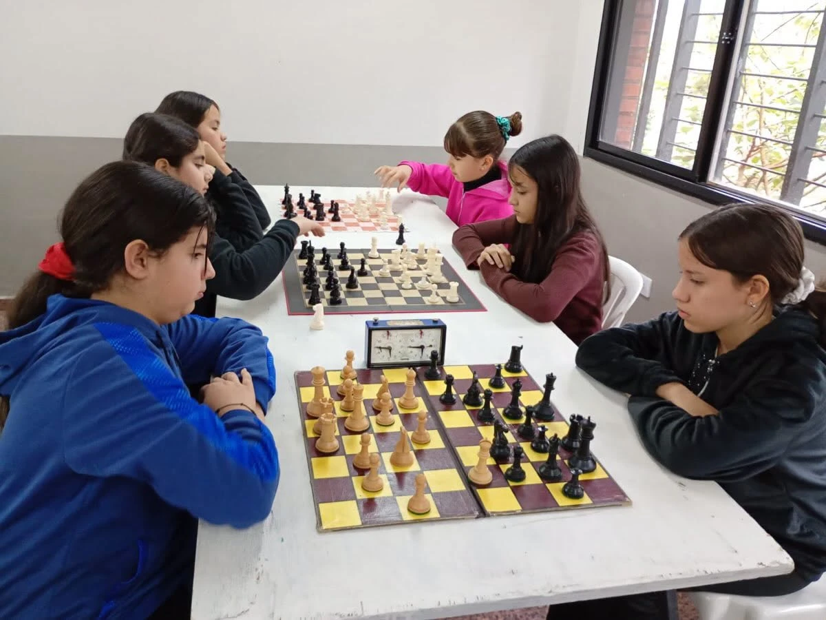Miniatura 14