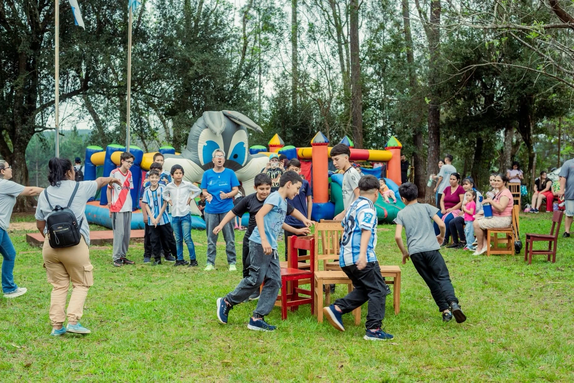 Miniatura 8