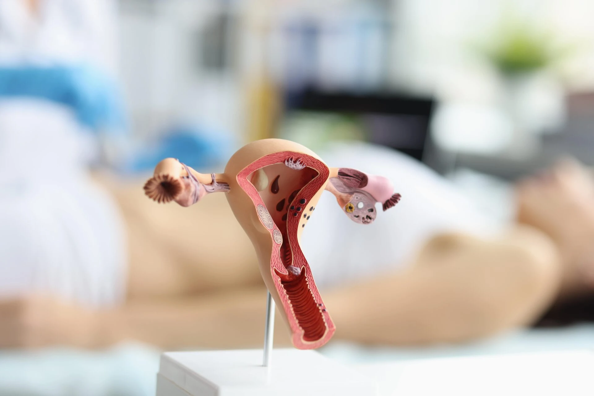 Amplían y detallan servicios de Ginecología y Obstetricia para la comunidad