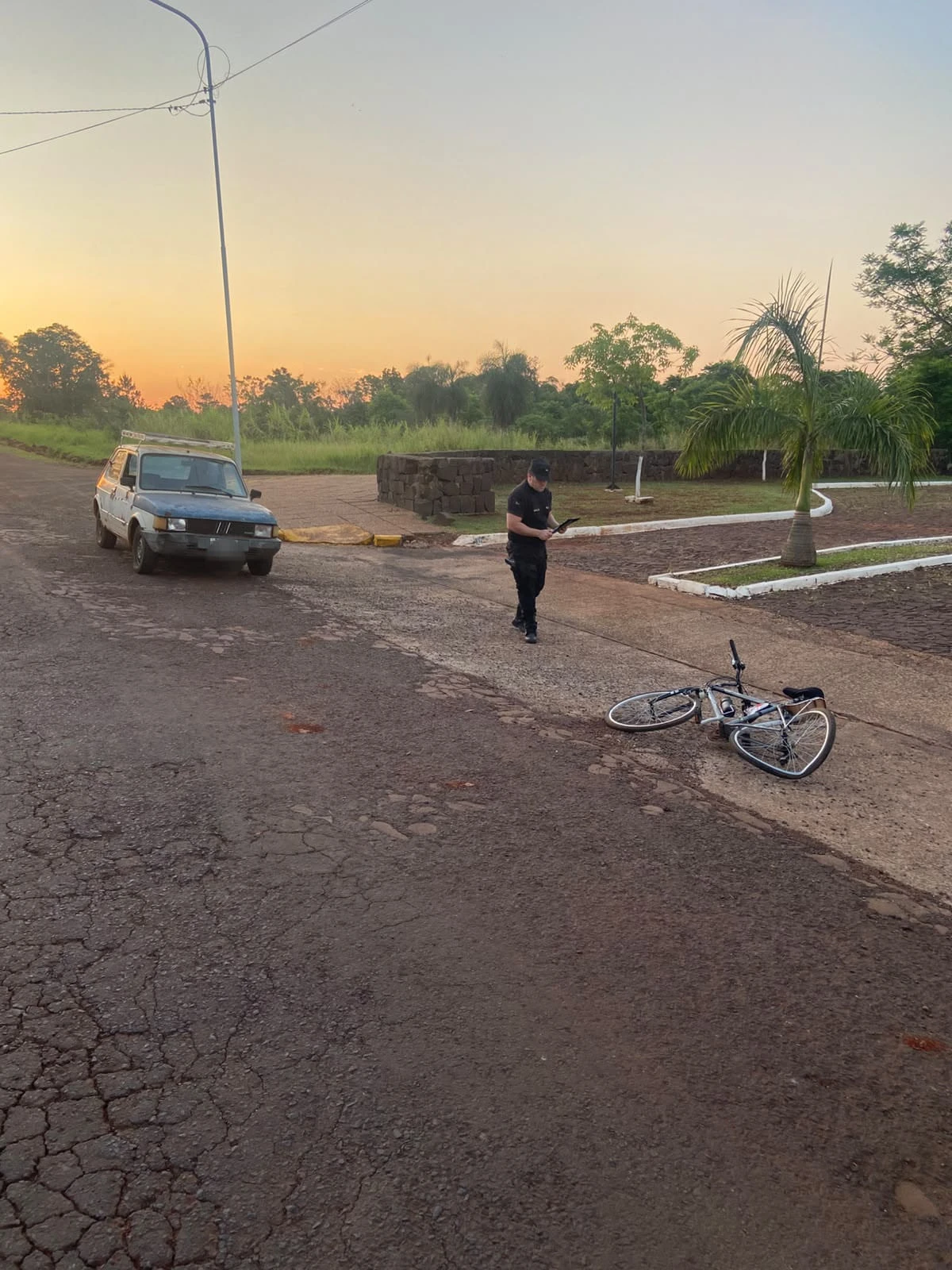 Investigan si un ataque de abejas hizo perder el control de un auto que atropelló a un ciclista en Puerto Rico