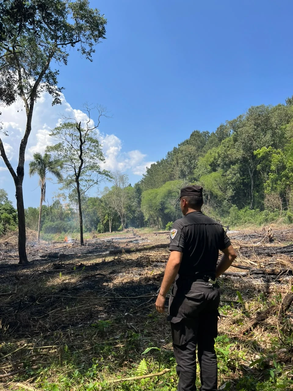 Controlaron un incendio forestal en Jardín América y evitaron que el fuego alcanzara un pinar