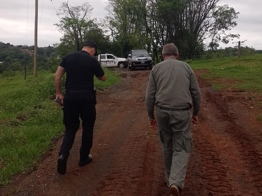Investigan la posible presencia de un felino de gran porte en San Vicente y Puerto Rico