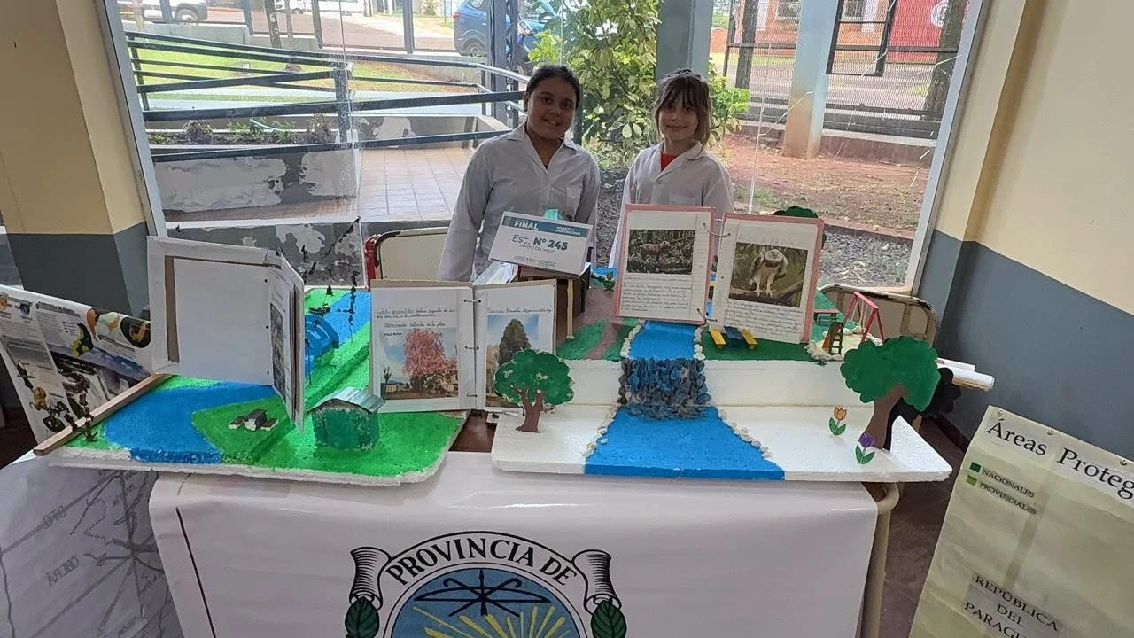 Miniatura 19