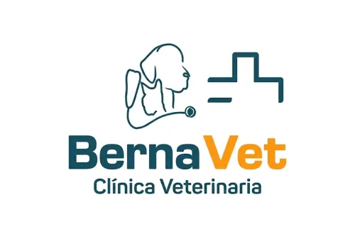 Logo de Bernavet