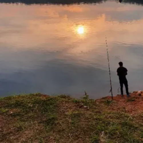 Logo de Club de Pesca Puerto Mineral