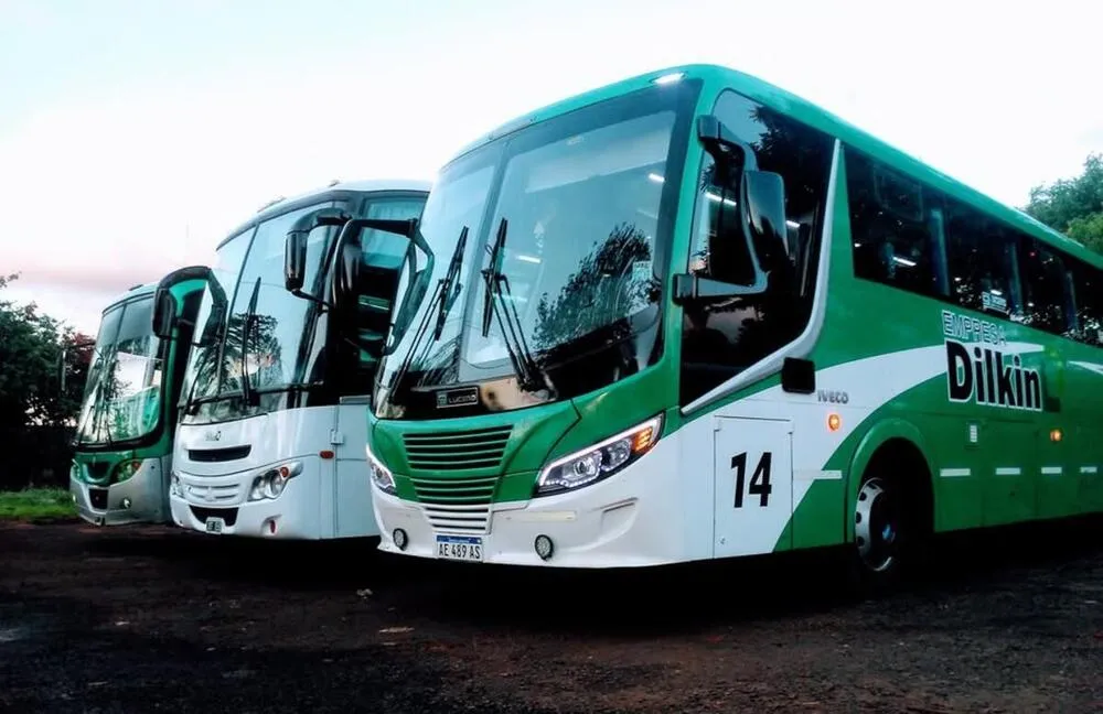 Logo de Empresa Dilkin